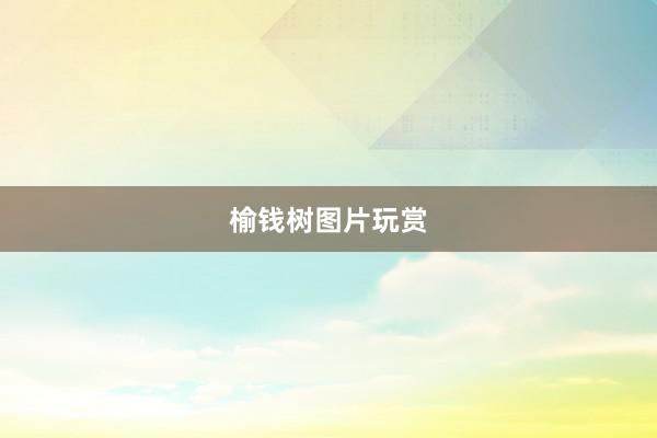 榆钱树图片玩赏