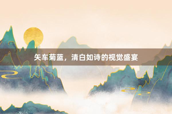 矢车菊蓝，清白如诗的视觉盛宴