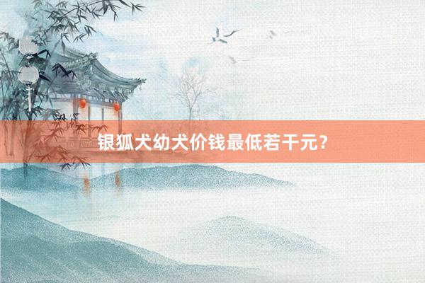 银狐犬幼犬价钱最低若干元?