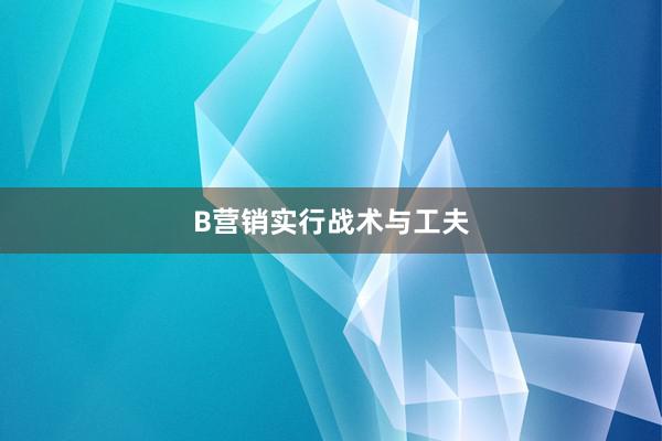 B营销实行战术与工夫